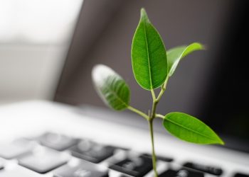 Grün Digitalisieren: Diese nachhaltigen digitalen Tools sollten Sie kennen