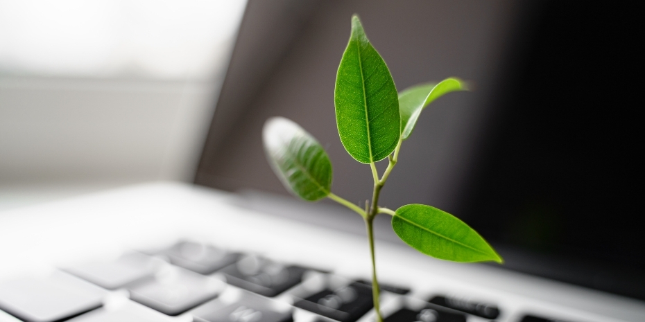 Grün Digitalisieren: Diese nachhaltigen digitalen Tools sollten Sie kennen