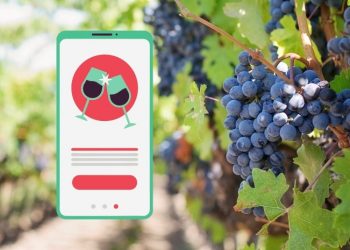 Eine Wein-App für den neuen Wein?