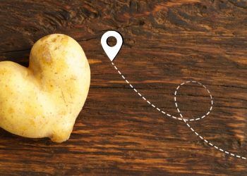 Rückverfolgbare Lieferketten in der Lebensmittelverarbeitung.