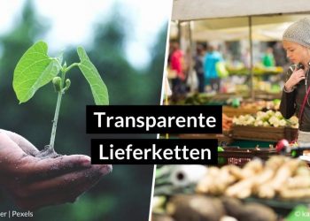 Transparente Lieferketten – von einfachen Chip-Lösungen bis zur Zukunft Blockchain
