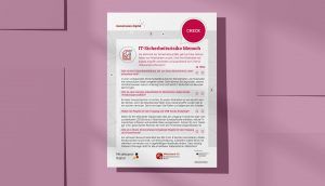 Check: IT-Sicherheitsrisiko Mensch