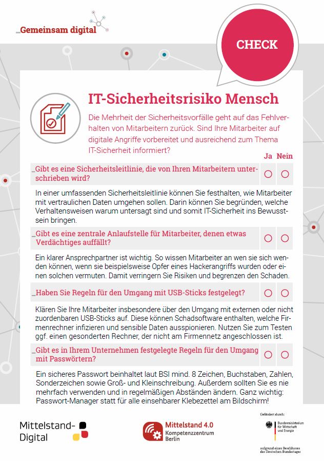 Check: IT-Sicherheitsrisiko Mensch