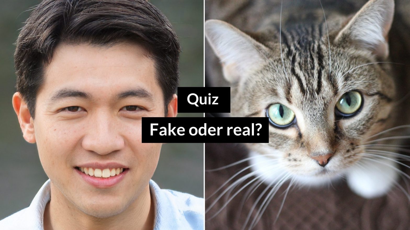 Quiz: Erkennen Sie den KI fake