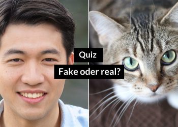 Quiz: Erkennen Sie den KI fake