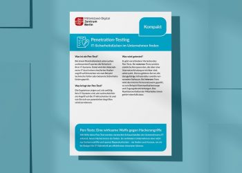 Kompaktflyer: Penetration-Testing