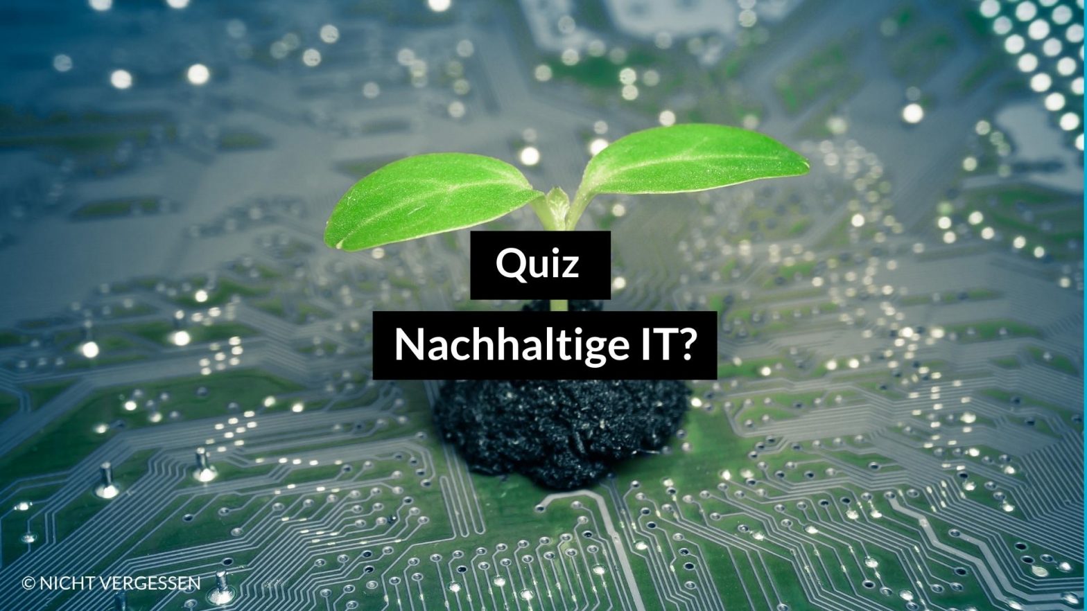 Nachhaltig digitalisieren