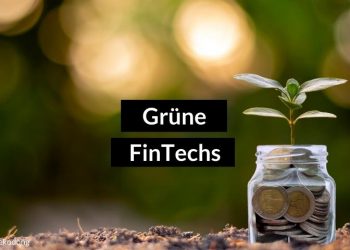 Grüne FinTechs: Wie Finanzdienstleister den Klimaschutz unterstützen