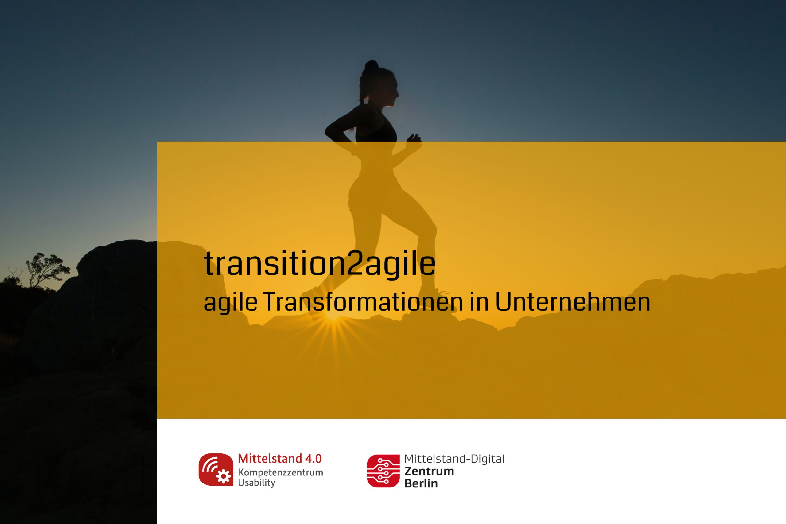 Agilität in Unternehmen